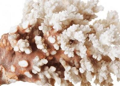 吃什么能长高？9种有助于长高的最佳食物！