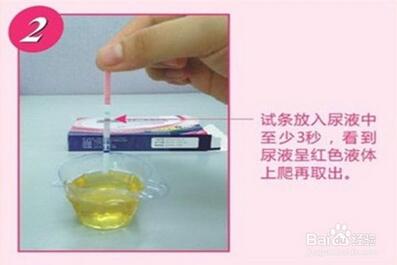 排卵试纸怎么用怎么看