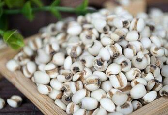 提高免疫力的五谷杂粮有哪些