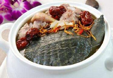 补肾的食物有哪些