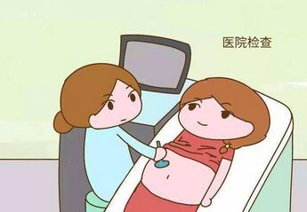 四维、三维、心脏彩超多少钱一次