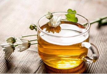 经期上火可以喝菊花茶吗