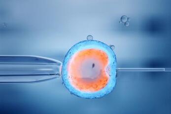 取卵前要注意什么事项