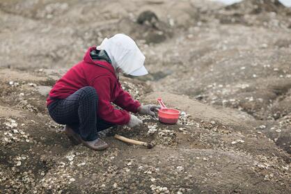 小孩吃生蚝会性早熟吗