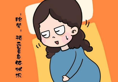 胎梦准不准