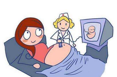 四维彩超怎么看男女