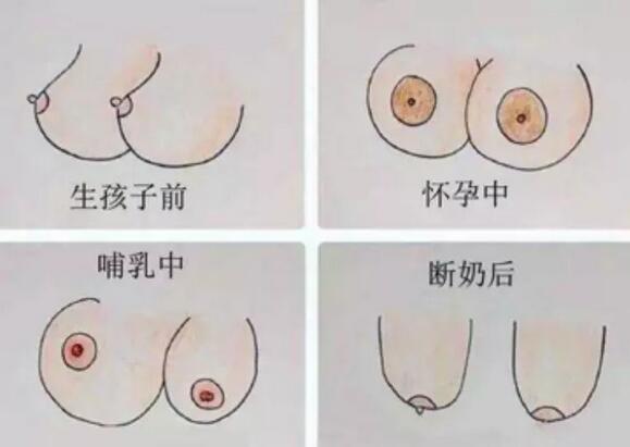 母乳喂养的10大误区