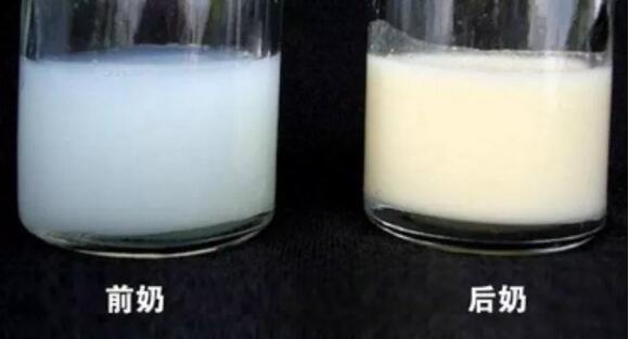 母乳喂养的10大误区