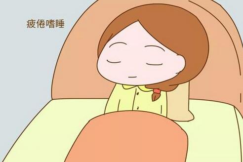 孕妇嗜睡生男生女可信吗