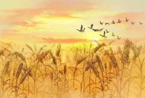 李贺金铜仙人辞汉歌古诗带拼音版