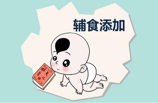 宝宝辅食食谱制作100款