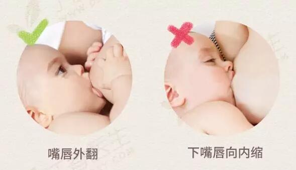 6个靠谱的催奶妙招，第一招就很管用