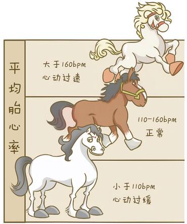 孕晚期产检时，胎心监护不通过怎么办？