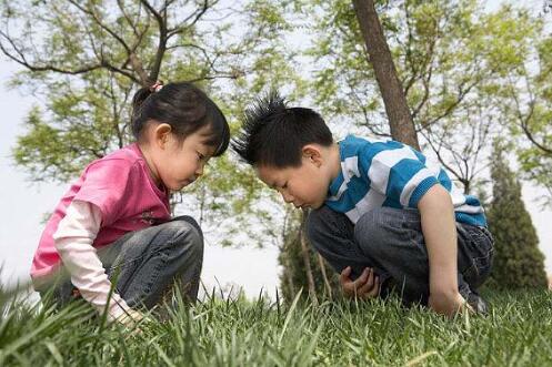 生儿子幸福还是生女儿幸福