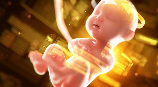 孕期营养要怎么补