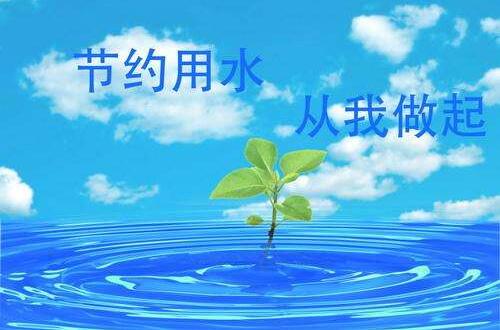 节约用水从我做起作文600字