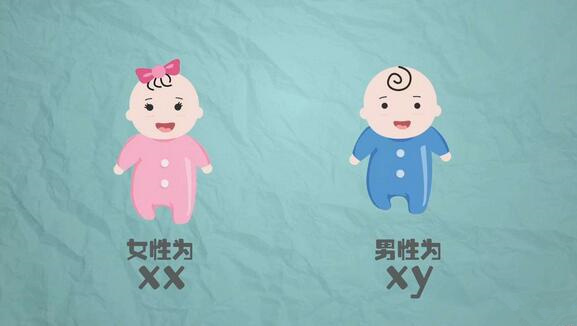 是时候该告诉你，生男生女有秘籍啦