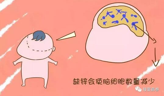 宝宝缺锌的症状有哪些?缺锌怎么办