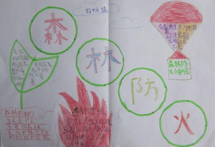 森林防火手抄报图片简单漂亮