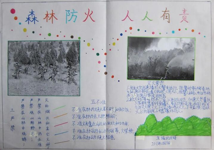 森林防火手抄报图片简单漂亮