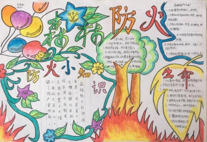 森林防火手抄报图片简单漂亮