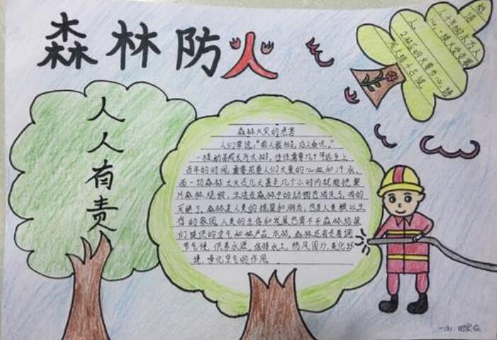 森林防火手抄报图片简单漂亮