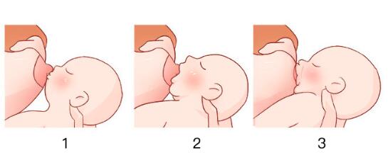 产后如何顺利开启母乳喂养