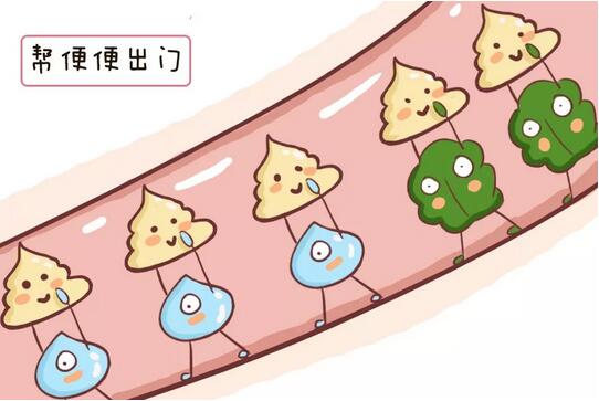 分清攒肚子和便秘的区别,便秘这样做最管用