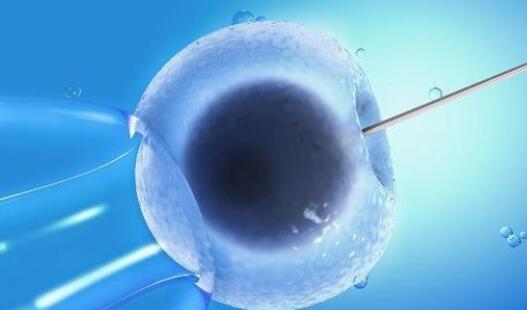 体外受精的怀孕几率是多少