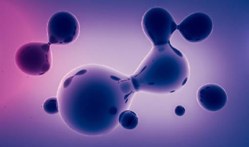 体外受精的怀孕几率是多少