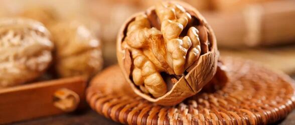 给孩子补脑的食物有哪些