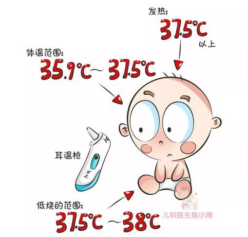 宝宝发烧会烧坏脑子吗?什么时候送医院?