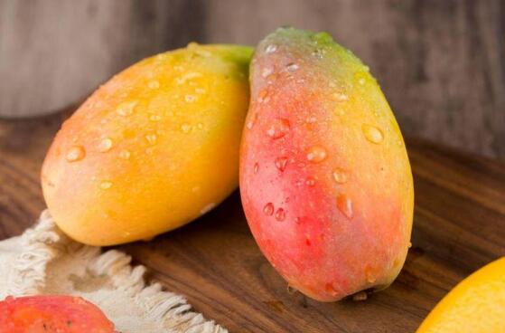 经期可以吃芒果吗