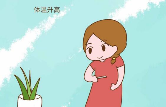 怀孕基础体温会升高吗