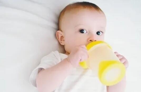 断奶的注意事项