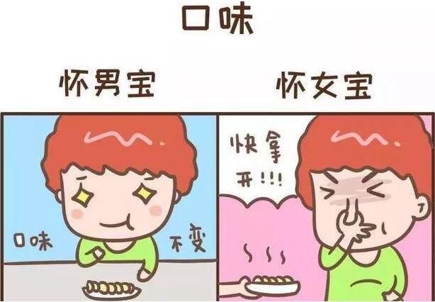 10秒测出怀男孩和女孩，几个方法屡试不爽