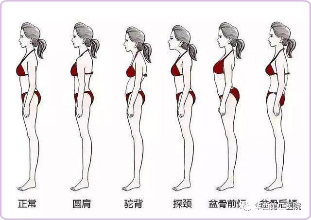怀孕腰痛的原因有哪些