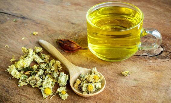 经期能喝菊花茶吗