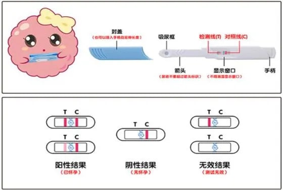 验孕棒一深一浅说明什么