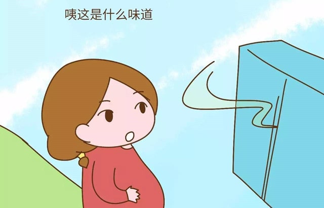 樟脑丸对孕妇有影响吗