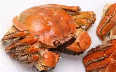 孕妇不能吃哪些食物清单