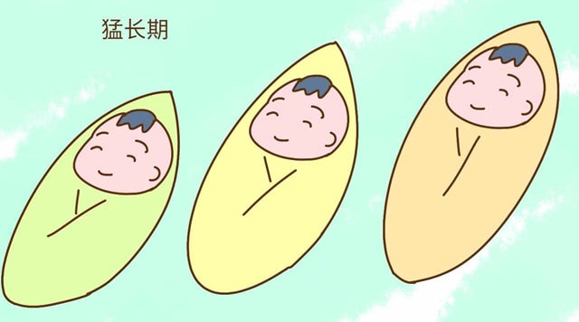 婴儿烦躁不安又能吃,可能进入了猛长期