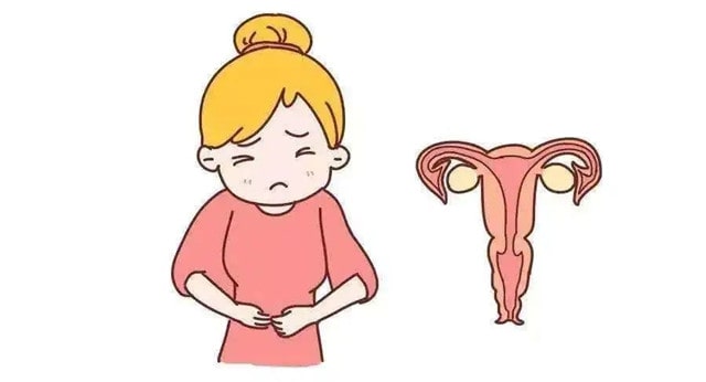 不排卵能怀孕吗