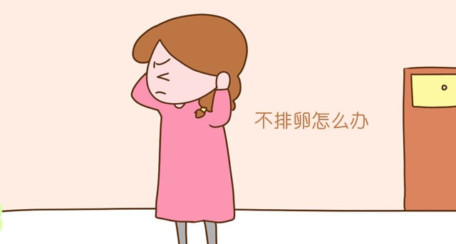 不排卵能怀孕吗