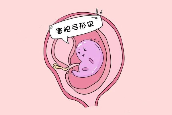 怀孕期间注意事项，胚胎最怕这些事