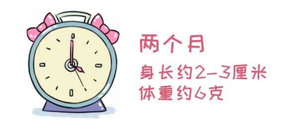 怀孕期间注意事项，胚胎最怕这些事