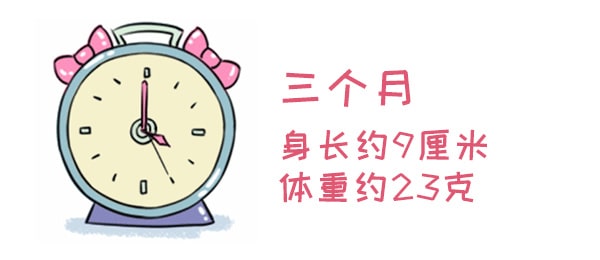 怀孕期间注意事项，胚胎最怕这些事