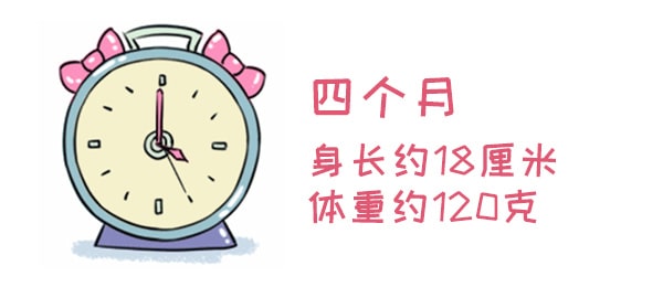 怀孕期间注意事项，胚胎最怕这些事