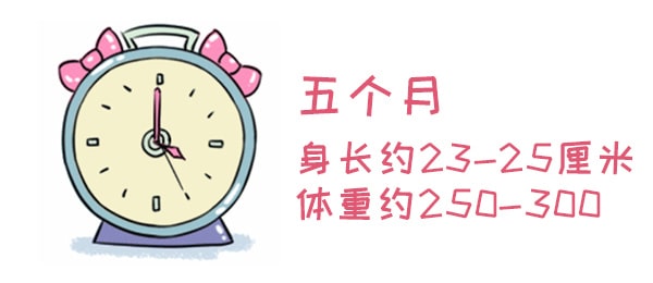 怀孕期间注意事项，胚胎最怕这些事