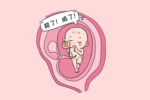 怀孕期间注意事项，胚胎最怕这些事